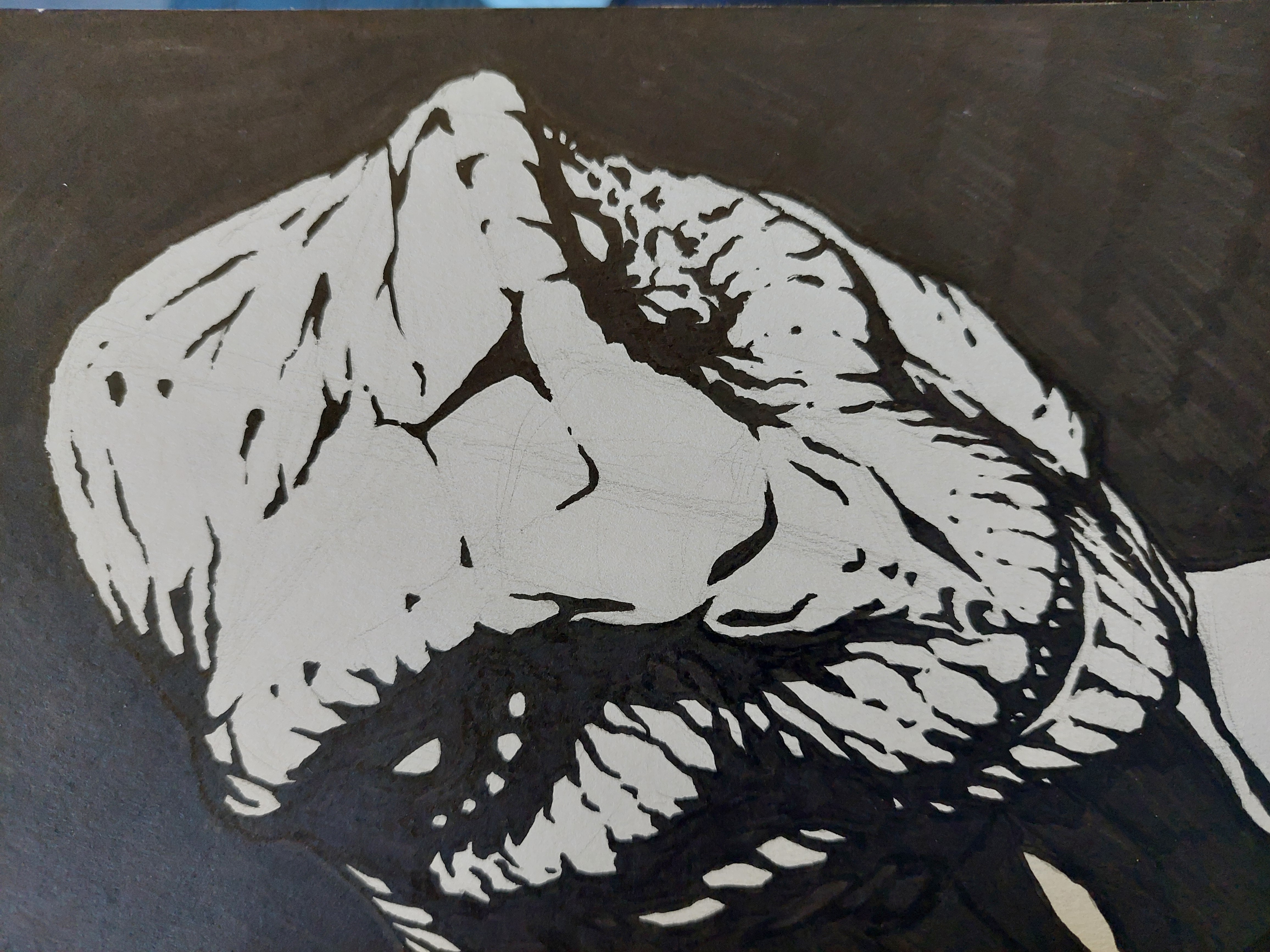 T-rex — ink study